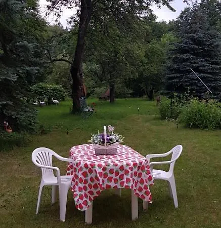 Letnisko Wiolinkowo * Sarnaki