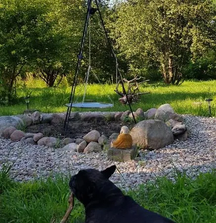 Letnisko Wiolinkowo Lodge *